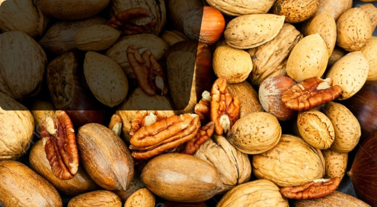 Collection d'amandiers